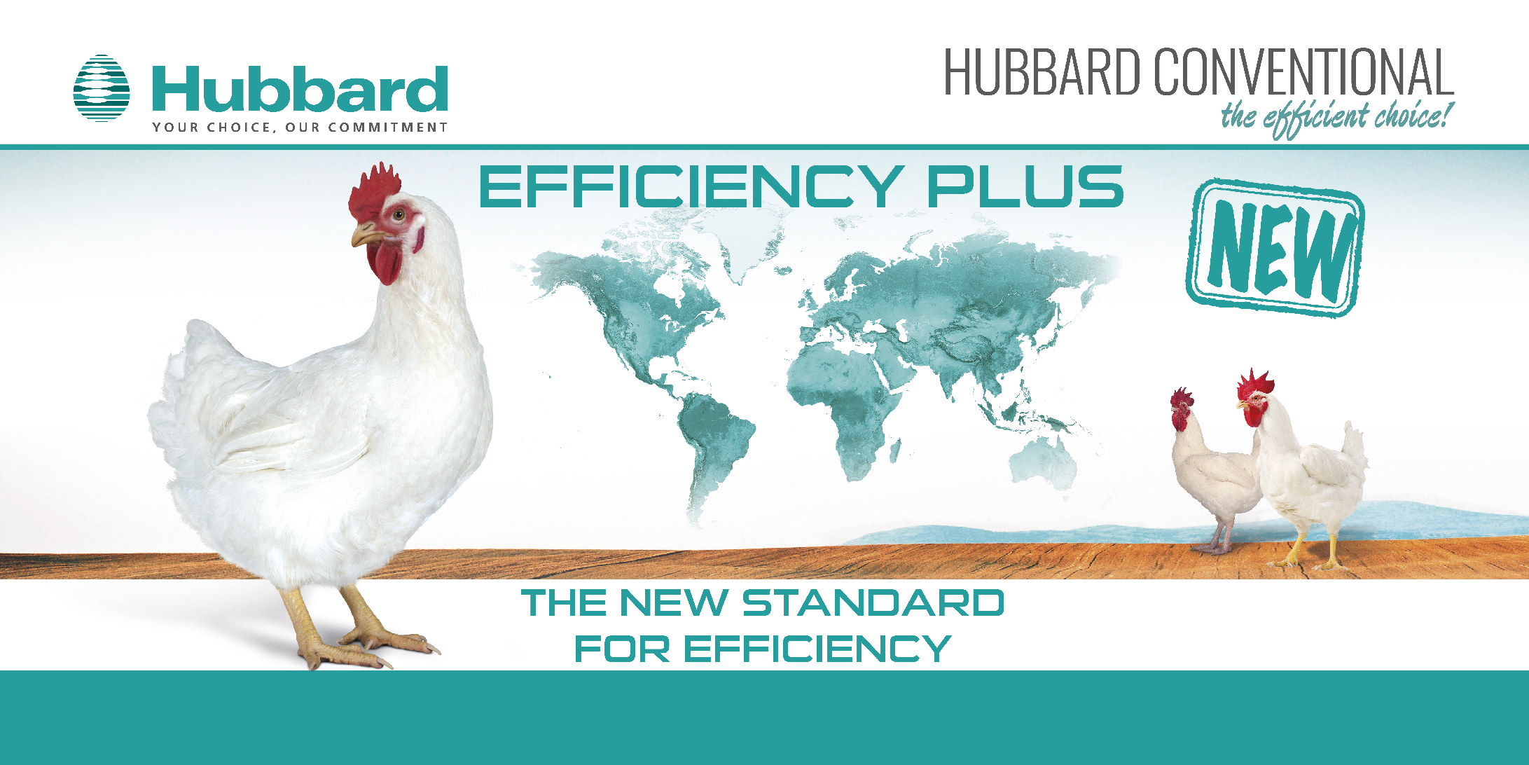 HUBBARD EFFICIENCY PLUS_EN