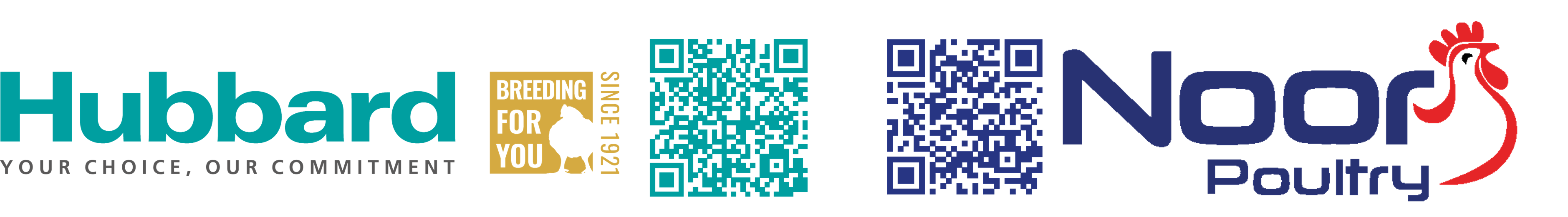 all logo and QR CODES