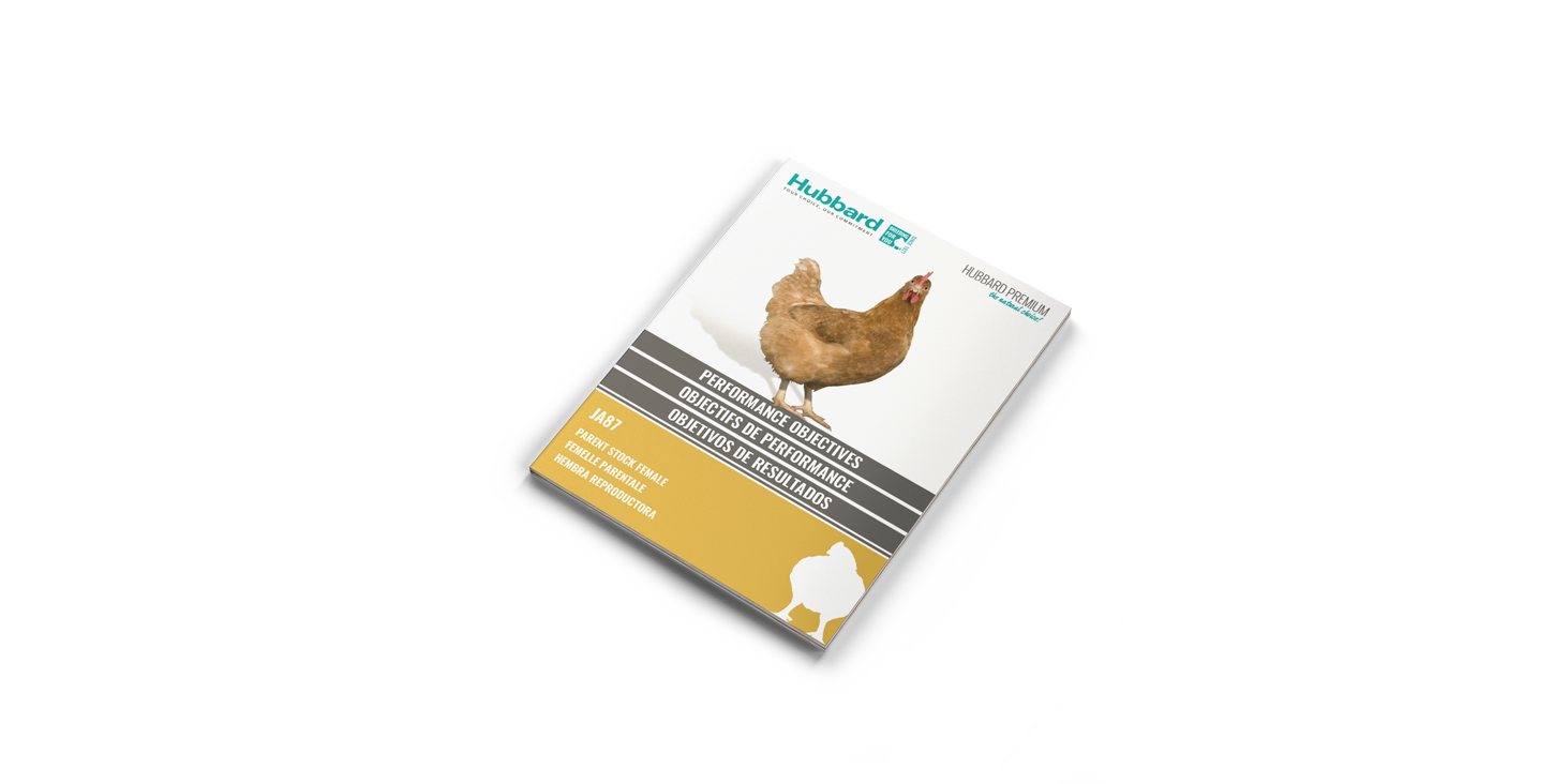 MOCKUP-JA87-NEW