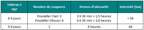 Le Démarrage Du Poussin De Chair De La Théorie à La Pratique