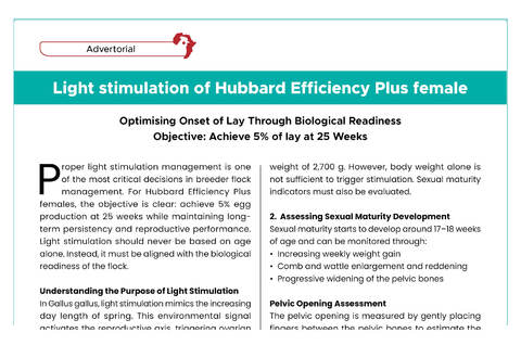 ART PNA APRIL JUNE 2026 HEP LIGHT STIMULATION